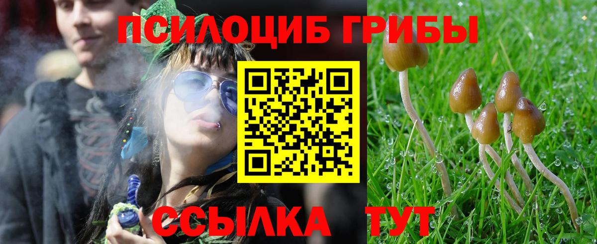 Псилоцибиновые грибы Psilocybine cubensis Ногинск