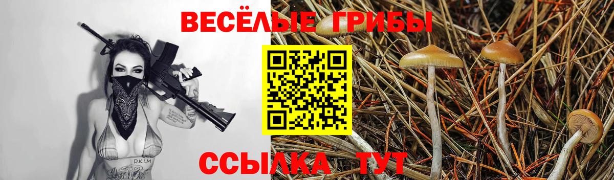 Ногинск  Галлюциногенные грибы Psilocybe  Вход с VPN 